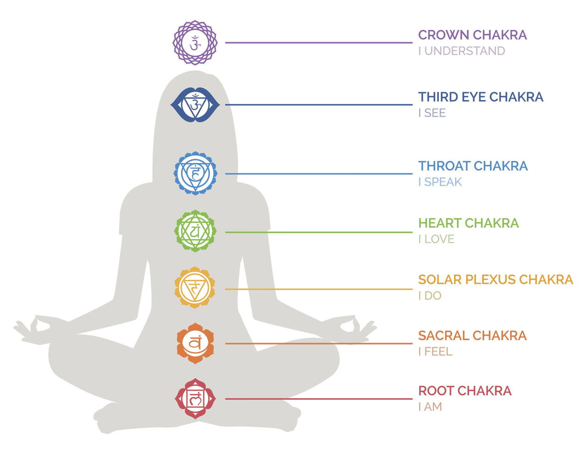 The Chakra System: A Beginners Guide to the 7 Chakras – Star Soul ...